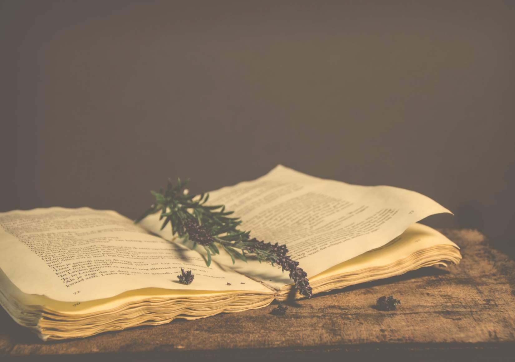 Бережная и профессиональная реставрация книг